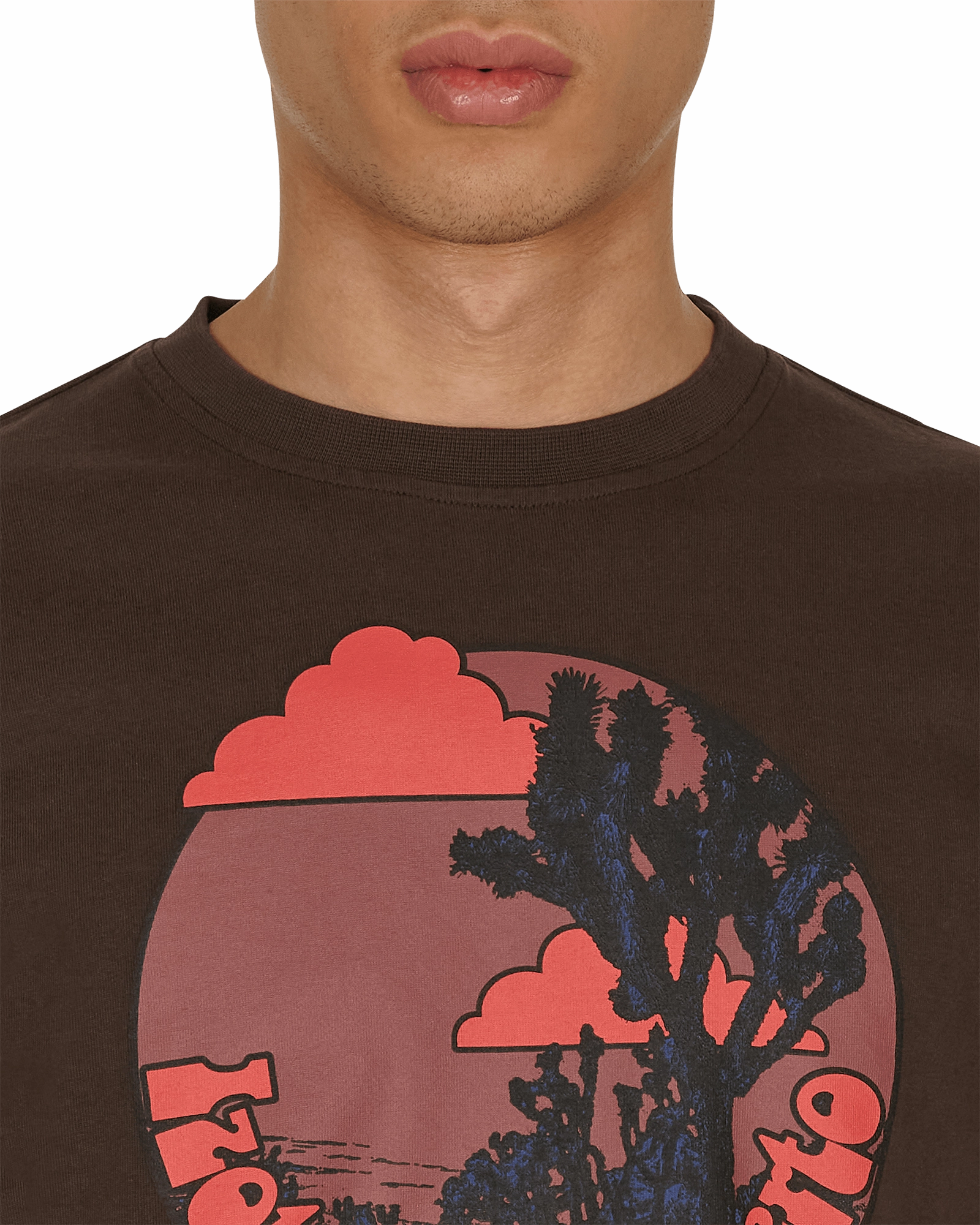Desert Daggar T-Shirt Brown